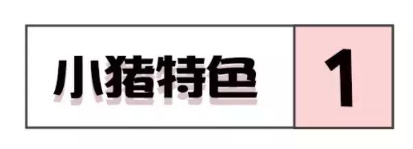 红包包包包~各大品牌的春节献礼想要吗?送你!