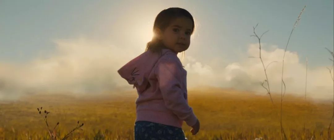 暖心治愈萌宠电影,萌宠电影超感人