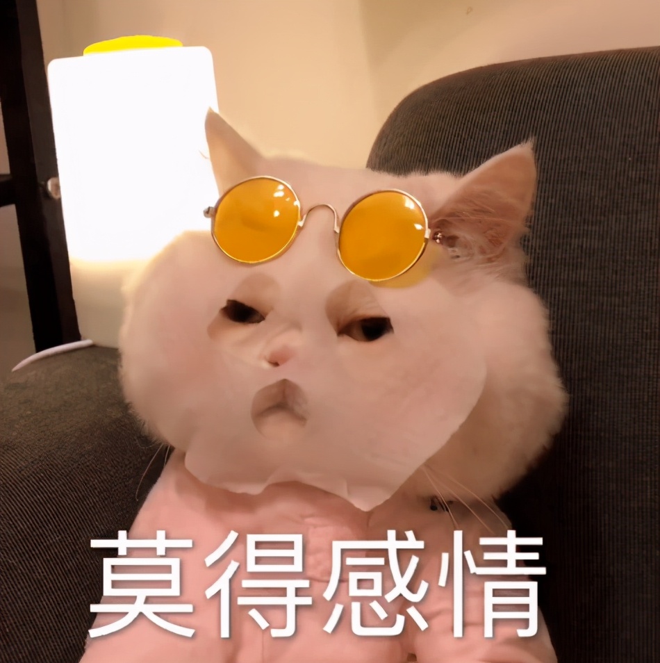母猫一直叼猫崽是怎么回事,母猫把小猫崽都叼到猫砂盆