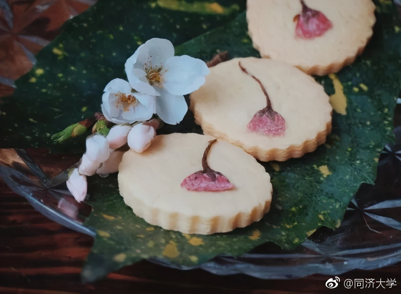 同济大学里面的饭菜,同济大学好吃的食堂