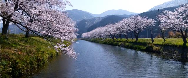 日语程度副词,日语动词简体敬体变化规则