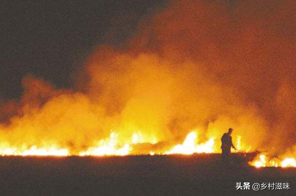 农民工在农村创业门路上干什么活,务工致富