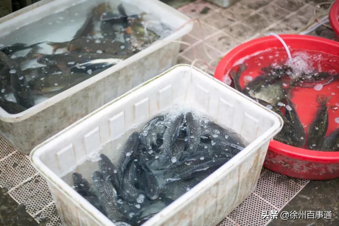 徐州丰储街菜市场在哪里,丰储街菜市场