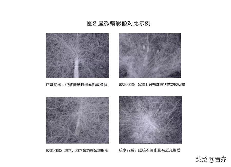 「齐齐哈尔关注」1500多元一件的“狼爪”用胶水绒？多个大品牌检测都不合格