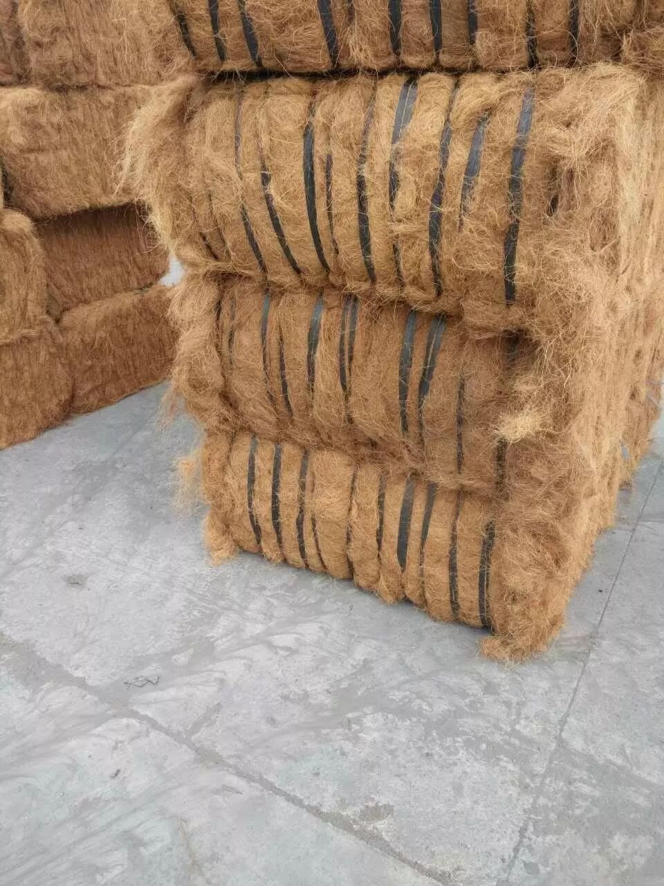 床垫千千万，选谁最合适？