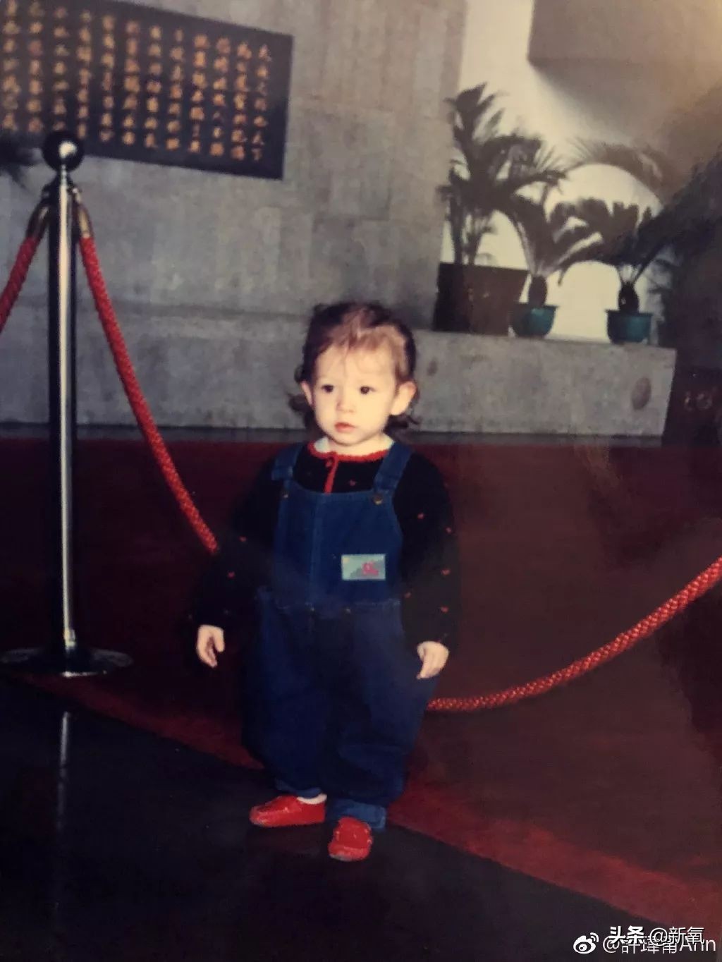 盘点整容后不敢认的女星颜值巅峰,知名女网红被扒整容