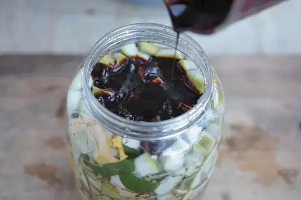 环保酵素制作材料要求,环保酵素制作大全书籍