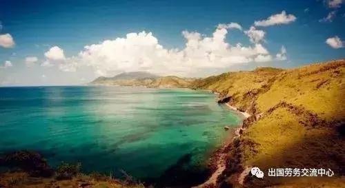 白本签证办理流程,白本签证容易过关吗