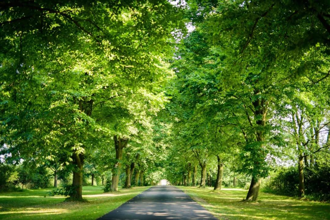 *疆新**少年入学英国最闪耀的钻石型学校NewHallSchool