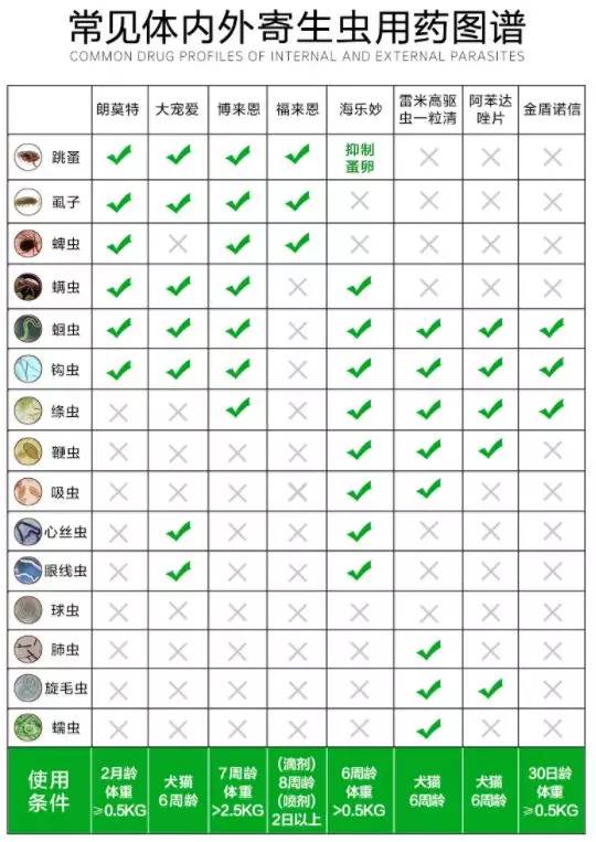 养猫常备药物推荐,铲屎官必备驱虫药