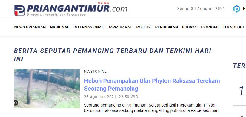 巨蟒蛇才是世界上最大的蛇,比500米巨蟒还厉害的蛇