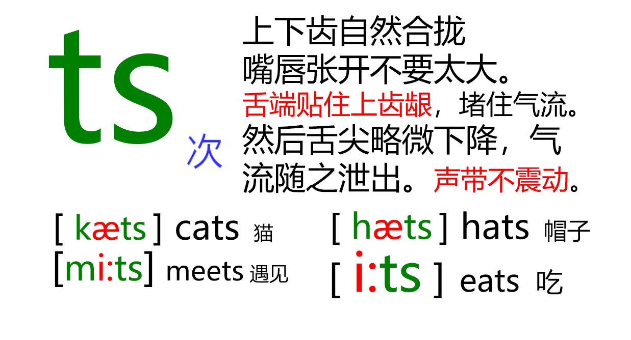 48个音标全套卡片作用,英语音标卡片48个正确发音嘴型