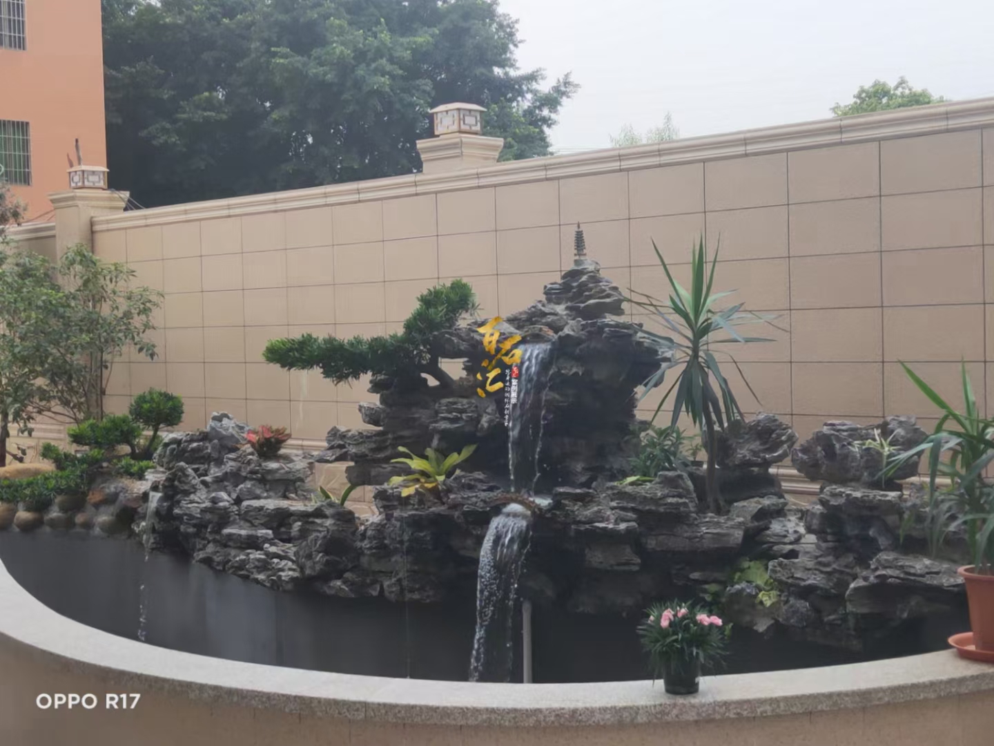 家里院子适合放什么盆栽,家里院子放什么好看