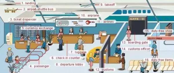 33张图让你记住英语中所有生活用词｜疏桐国际教育