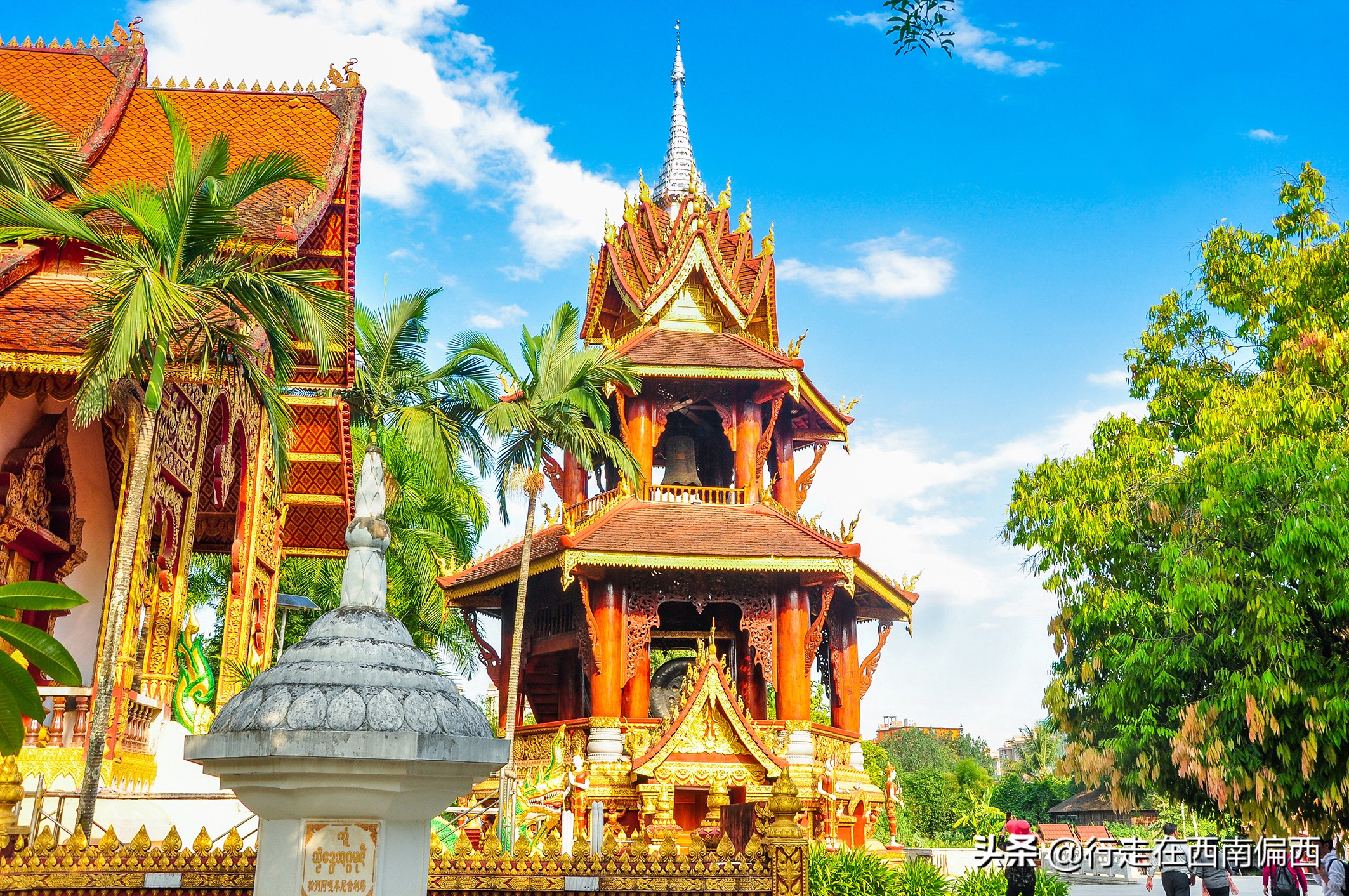 西双版纳五树六花185平米,西双版纳花的世界