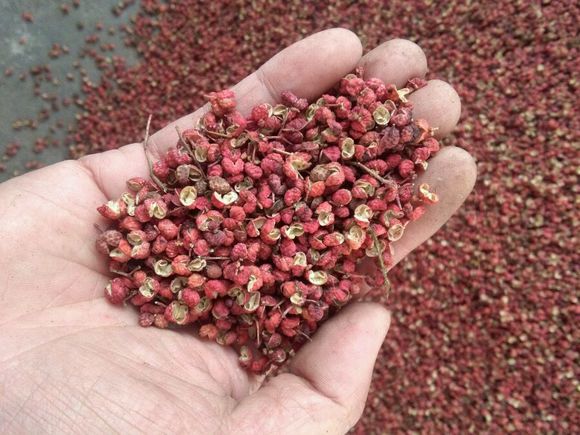 农村目前最有发展空间致富项目,农民工回乡创业有什么项目