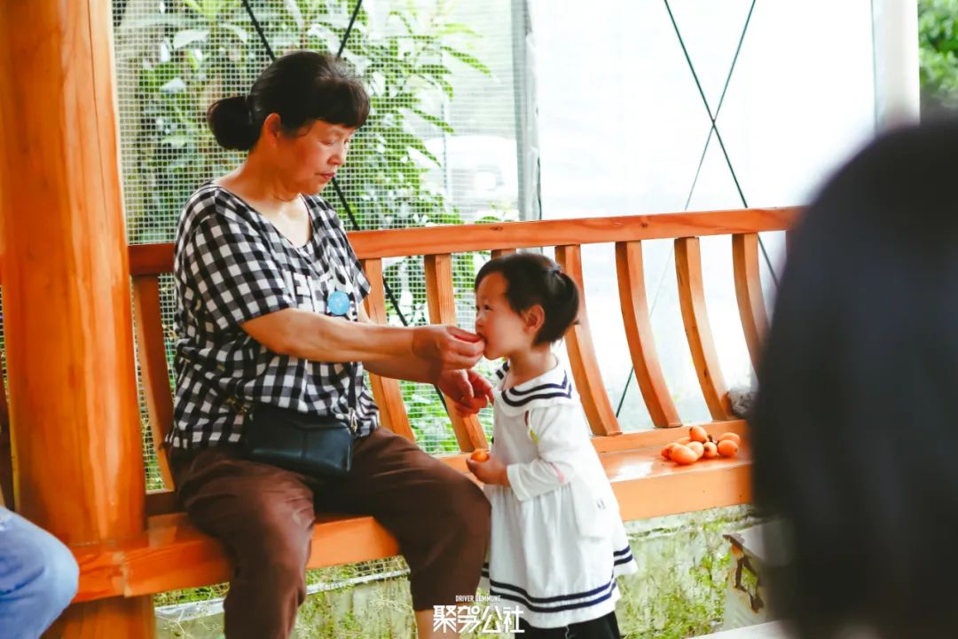 重游中国最美乡村,带你游浙江最美乡村