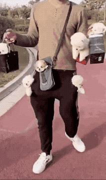 你有什么资格说爱我吗,你有什么资格说爱我完整版