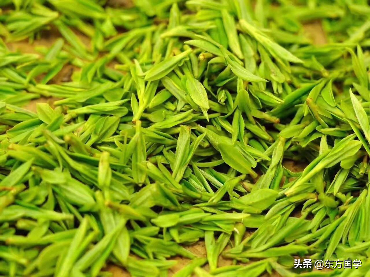 漫漫问茶路，能不忆江南？——久负盛名的“香郁若兰”