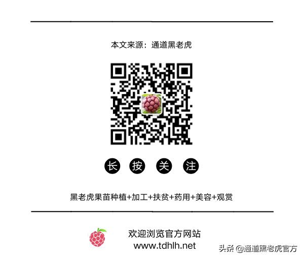 被省委书记惦记的通道小伙，正带村民种山果致富（转载）