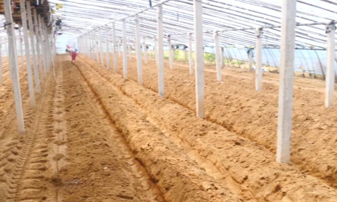 各种粪肥有什么作用,大田粪肥增产