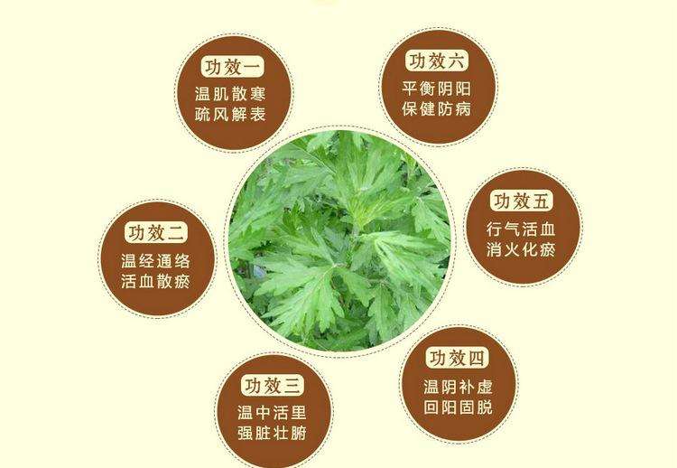 寒冷的天气如何养生,寒冷的天气如何热身体