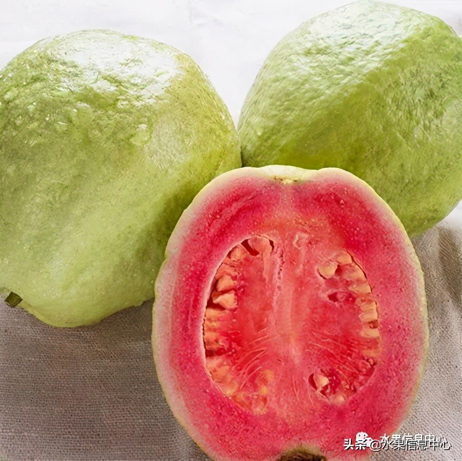 海南水果都有哪些品种图片及名称,海南水果上市时间表赶快收藏吧