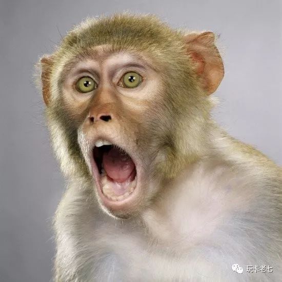 招行钻石卡亲子权益,招行亲子钻石卡信用卡