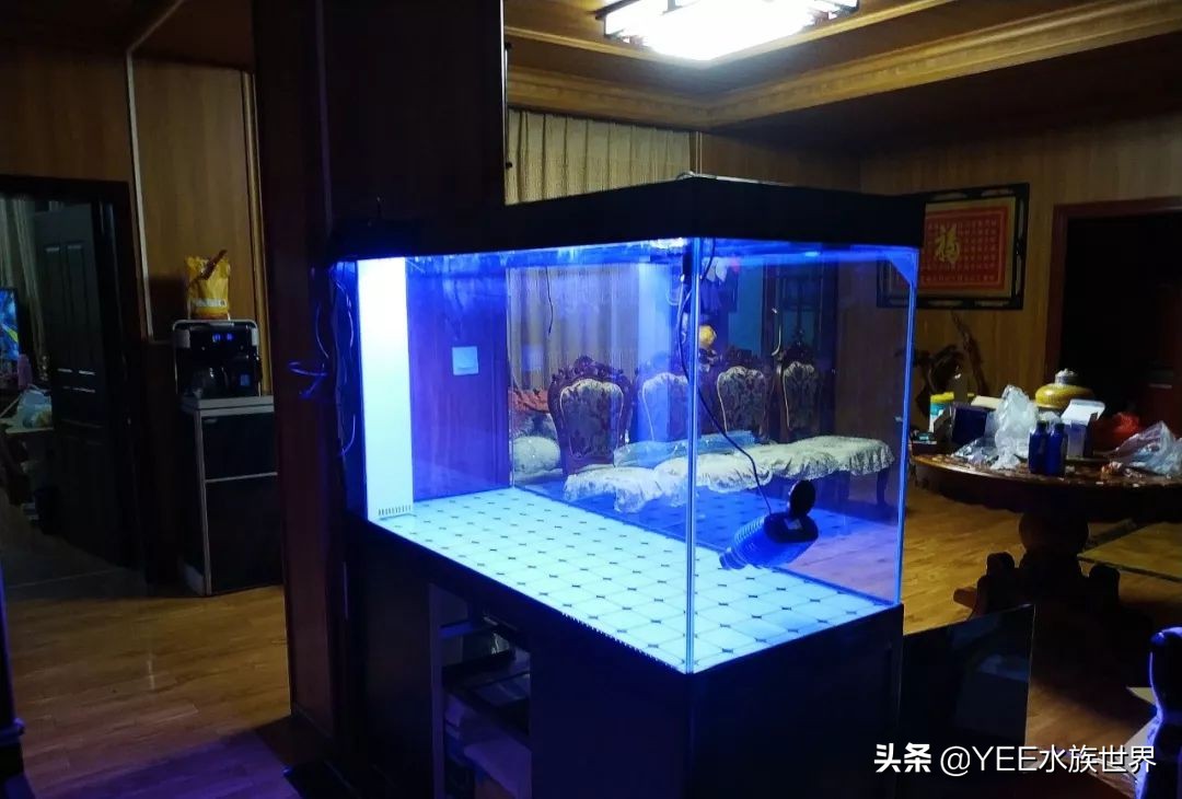 粘玻璃鱼缸专用的胶水,鱼缸专用密封胶是什么