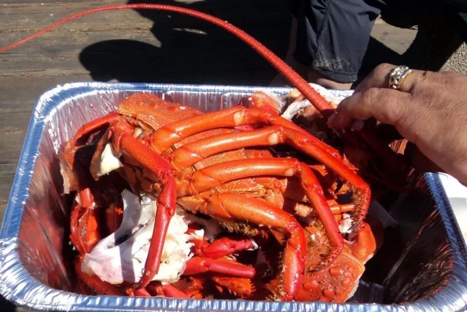 加州旅游攻略视频大全,加州旅游攻略