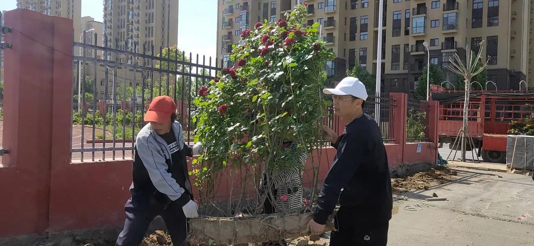 迎战风雨感谢有你（三）—郑东新区云台小学校长韩合班工作纪实