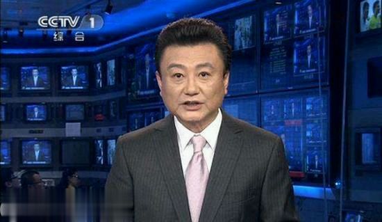 刘纯燕王宁爱情视频,王宁和刘纯燕的恋爱故事