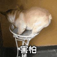 画面太搞笑！日本一大学举行云毕业典礼，结果搞成了“僵尸大会”