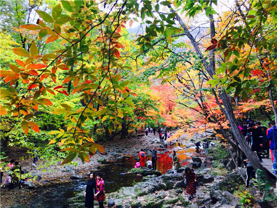 旅行社老年人跑路,老年旅行社跑路