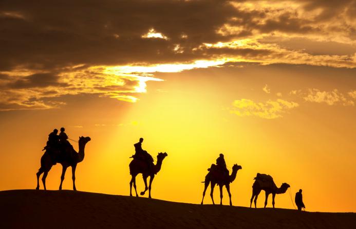 如何判断期货趋势行情,期货怎样用基差判断行情