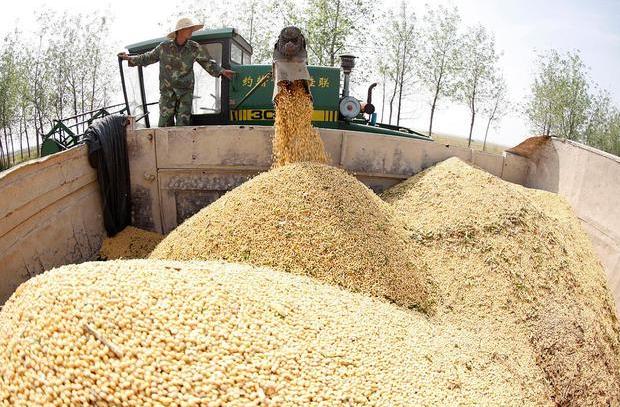 中国大豆进口情况新闻,中国进口大豆消息