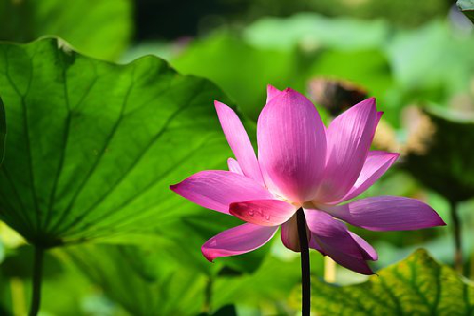 句句大实话人生感悟正能量分享,人生感悟语录句句正能量