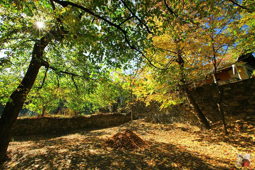 金秋探秘格鲁吉亚和亚美尼亚，大量美图谨防中毒（干货篇）