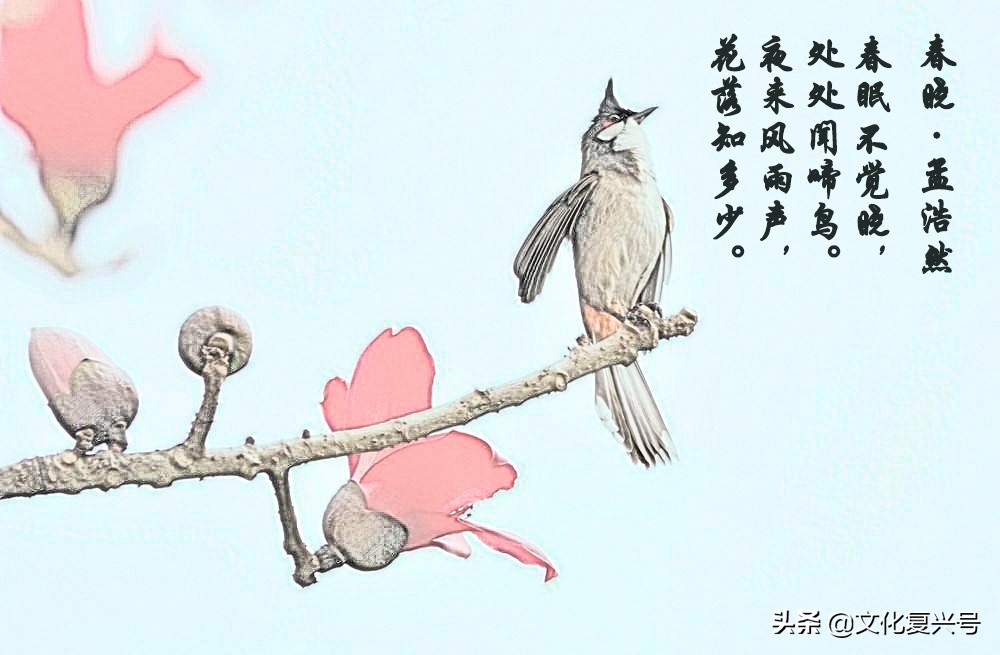 回忆陪孩子学过的唐诗,中小学必背唐诗30首