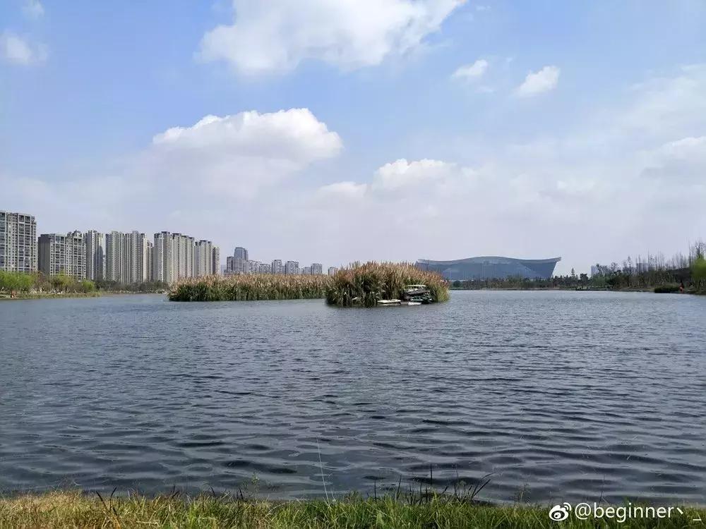 成都世界最大的公园,成都大公园游玩