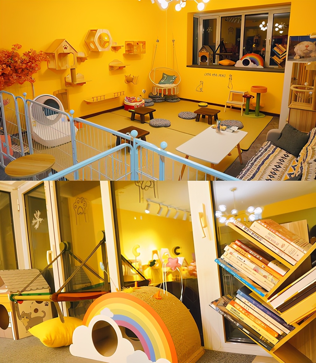 秦皇岛这只网红猫日常“巡逻”你见过吗？岛上还有这些撸猫好去处~