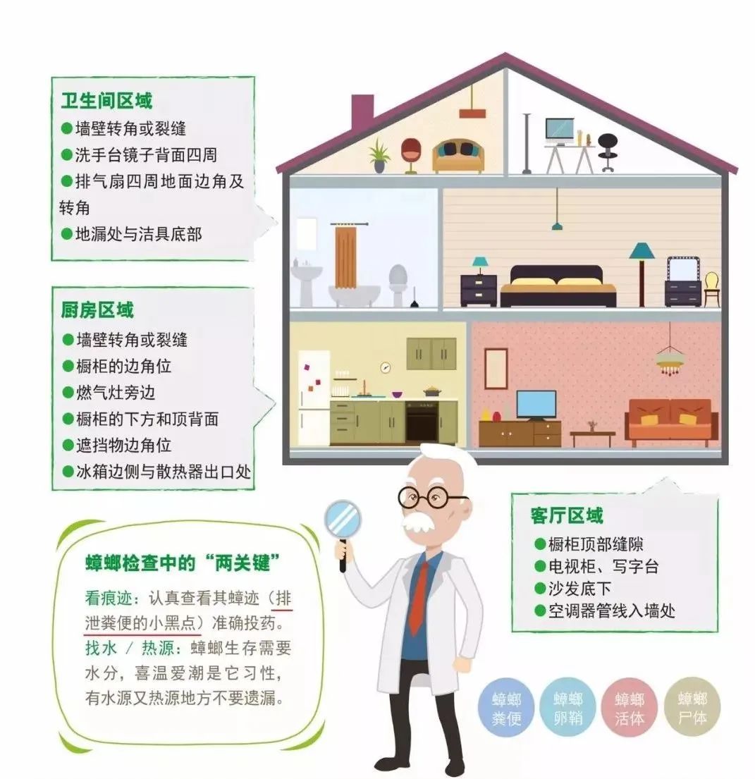 家里蟑螂多用什么方法灭蝇效果好,除蟑螂家用灭蟑神器