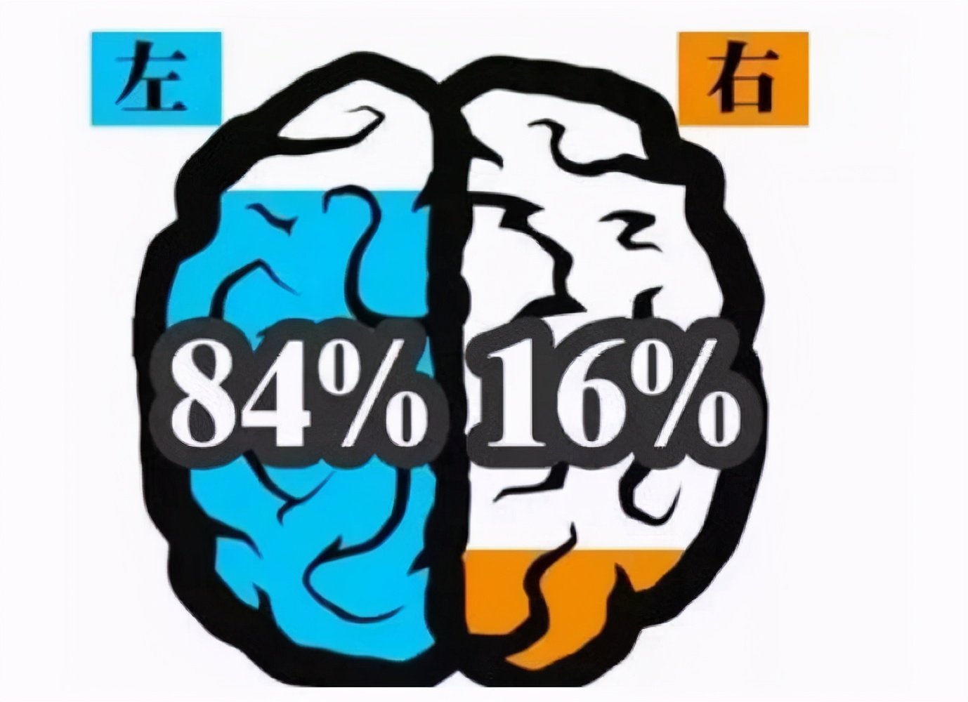 如何开发孩子右脑,怎么开发孩子右脑提高记忆力