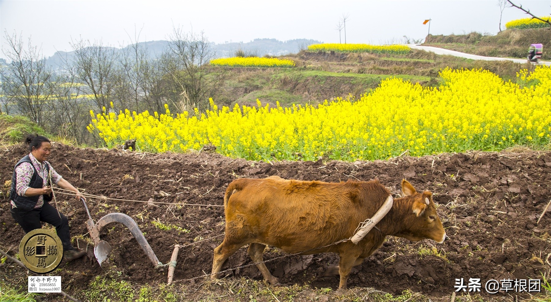 原广安县代市区有几个公社,广安消失的街道