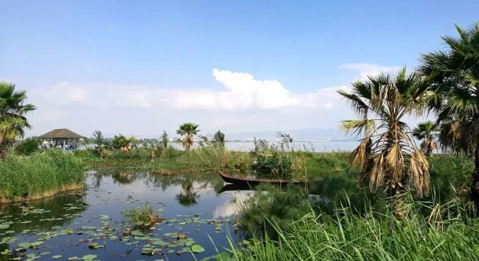 昆明去东川红土地最快的自驾线路,昆明一日游必去十大景点推荐自驾