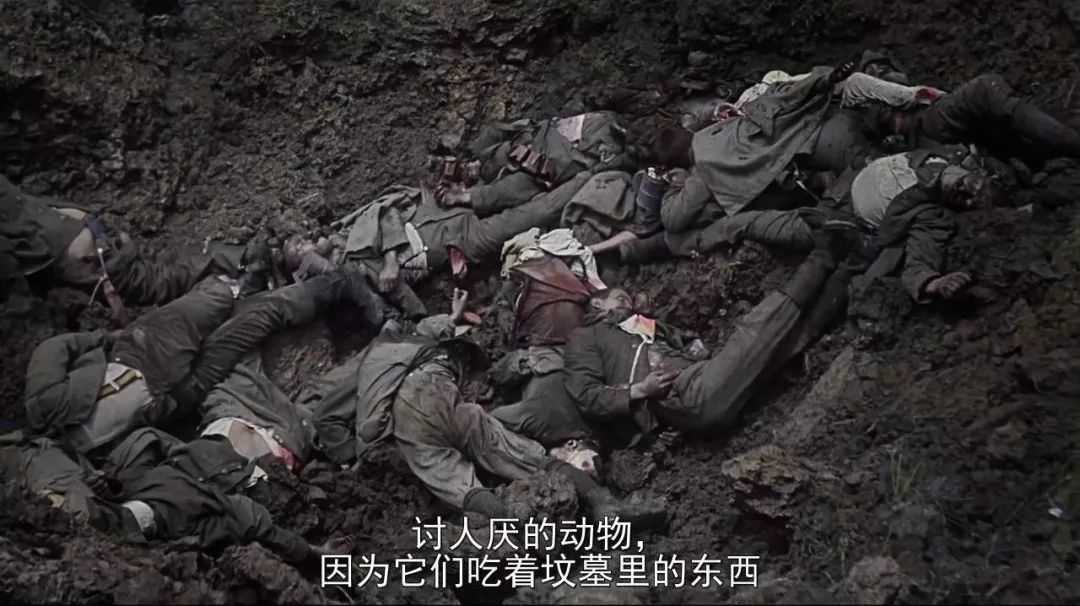 最近上映的电影豆瓣,最近上映的院线电影豆瓣评分