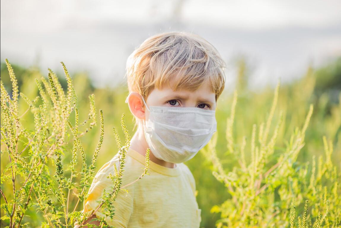 过敏越来越多谁之过,过敏背后的真相