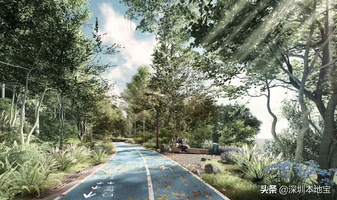 深圳市盐田区综合发展规划,深圳改革开放40周年盐田发展规划