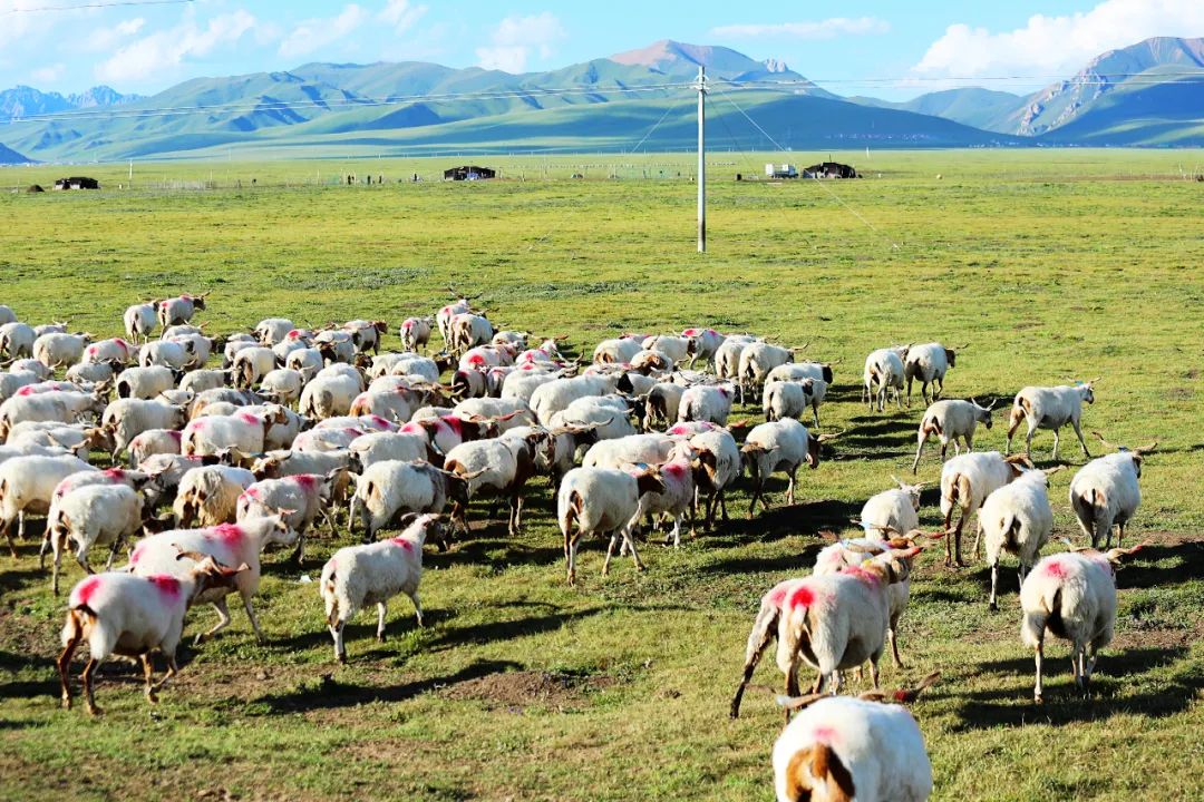 夏天去避暑穿什么,夏天要去哪里避暑