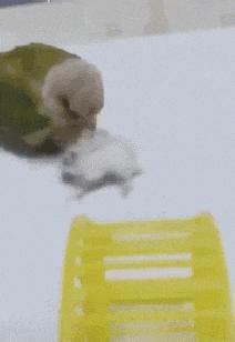 和女朋友去水上乐园,玩水上乐园掉妆